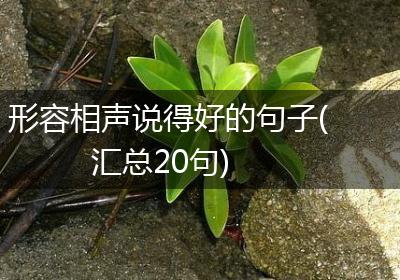 形容相声说得好的句子(汇总20句)