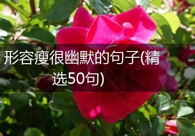 形容瘦很幽默的句子(精选50句)