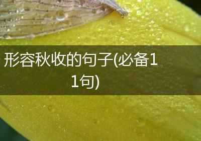 形容秋收的句子(必备11句)