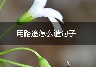 用路途怎么造句子