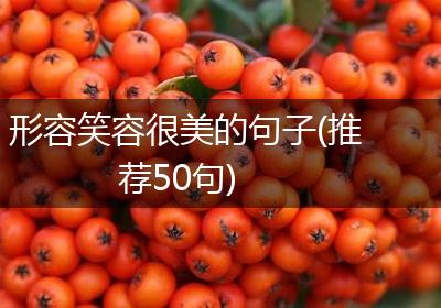 形容笑容很美的句子(推荐50句)