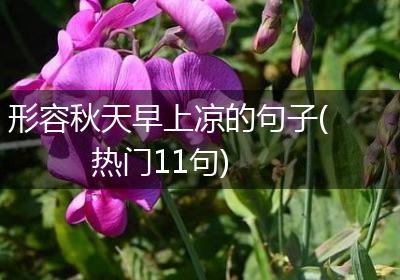 形容秋天早上凉的句子(热门11句)