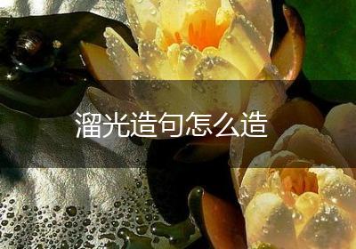溜光造句怎么造