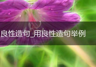 良性造句_用良性造句举例