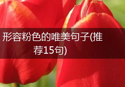 形容粉色的唯美句子(推荐15句)