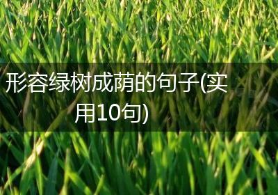 形容绿树成荫的句子(实用10句)