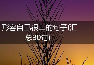形容自己很二的句子(汇总30句)