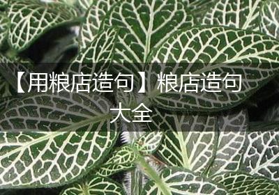 【用粮店造句】粮店造句大全