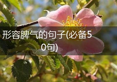 形容脾气的句子(必备50句)