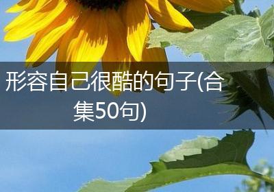 形容自己很酷的句子(合集50句)