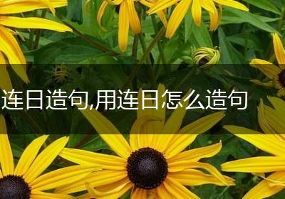 连日造句,用连日怎么造句
