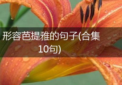 形容芭提雅的句子(合集10句)