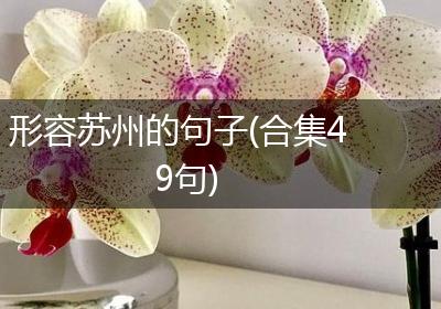 形容苏州的句子(合集49句)