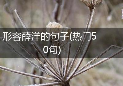 形容薛洋的句子(热门50句)