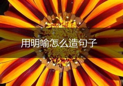 用明喻怎么造句子