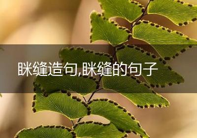 眯缝造句,眯缝的句子