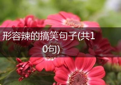 形容辣的搞笑句子(共10句)