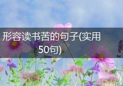 形容读书苦的句子(实用50句)