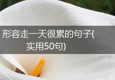 形容走一天很累的句子(实用50句)
