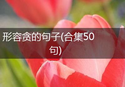 形容贪的句子(合集50句)