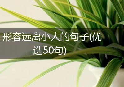形容远离小人的句子(优选50句)
