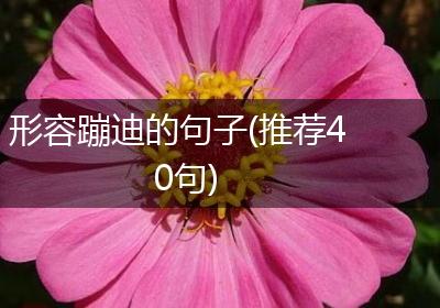 形容蹦迪的句子(推荐40句)