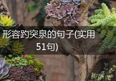 形容趵突泉的句子(实用51句)