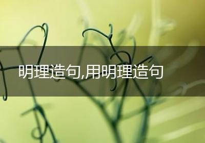 明理造句,用明理造句