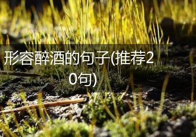 形容醉酒的句子(推荐20句)