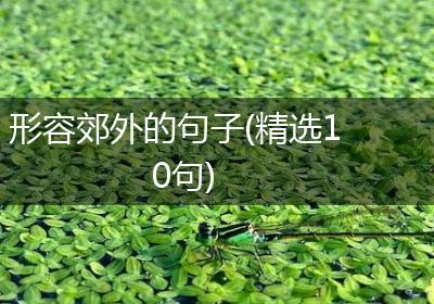形容郊外的句子(精选10句)