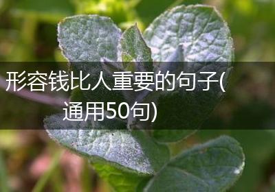 形容钱比人重要的句子(通用50句)