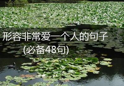形容非常爱一个人的句子(必备48句)
