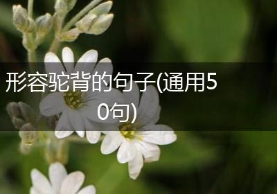 形容驼背的句子(通用50句)