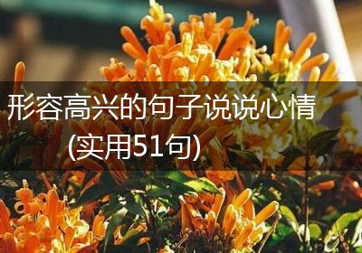形容高兴的句子说说心情(实用51句)