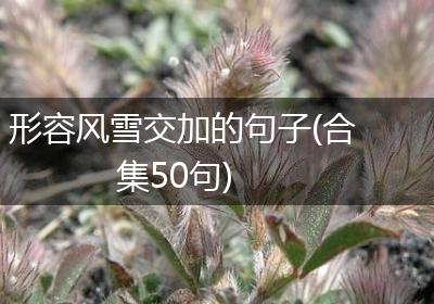 形容风雪交加的句子(合集50句)