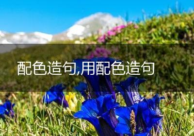 配色造句,用配色造句