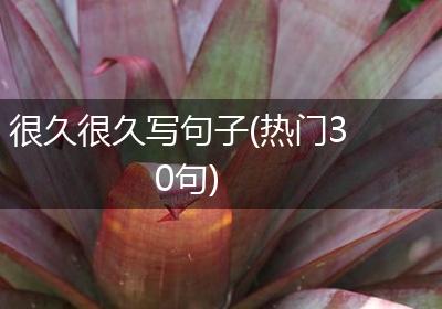 很久很久写句子(热门30句)