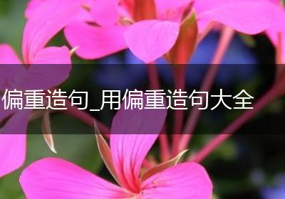 偏重造句_用偏重造句大全
