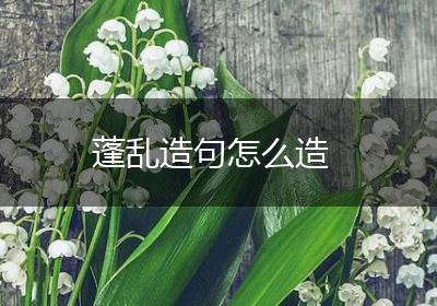蓬乱造句怎么造