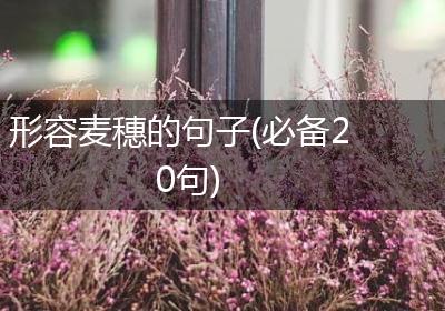 形容麦穗的句子(必备20句)