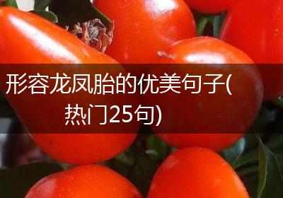 形容龙凤胎的优美句子(热门25句)