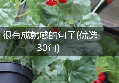 很有成就感的句子(优选30句)