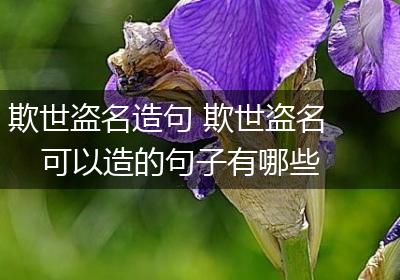 欺世盗名造句 欺世盗名可以造的句子有哪些