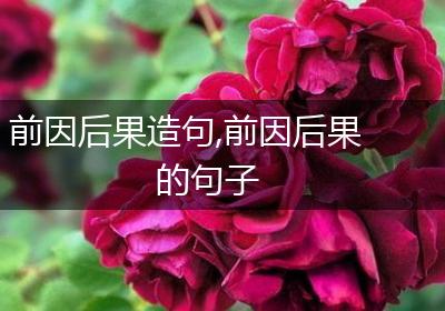 前因后果造句,前因后果的句子