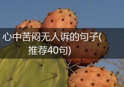 心中苦闷无人诉的句子(推荐40句)