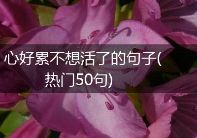 心好累不想活了的句子(热门50句)