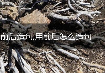 前后造句,用前后怎么造句