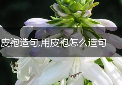 皮袍造句,用皮袍怎么造句