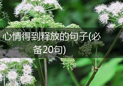 心情得到释放的句子(必备20句)