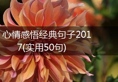 心情感悟经典句子2017(实用50句)
